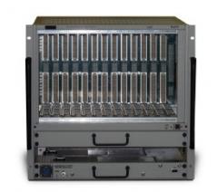 1263hpf