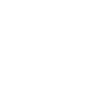 bizJet_white bizJet_white